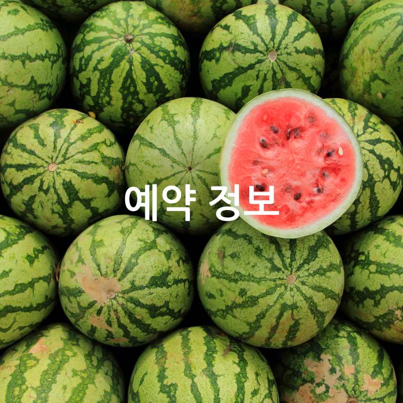 2025 여름 양평 수박축제 : 서울 근교 여행&amp;#44; 축제