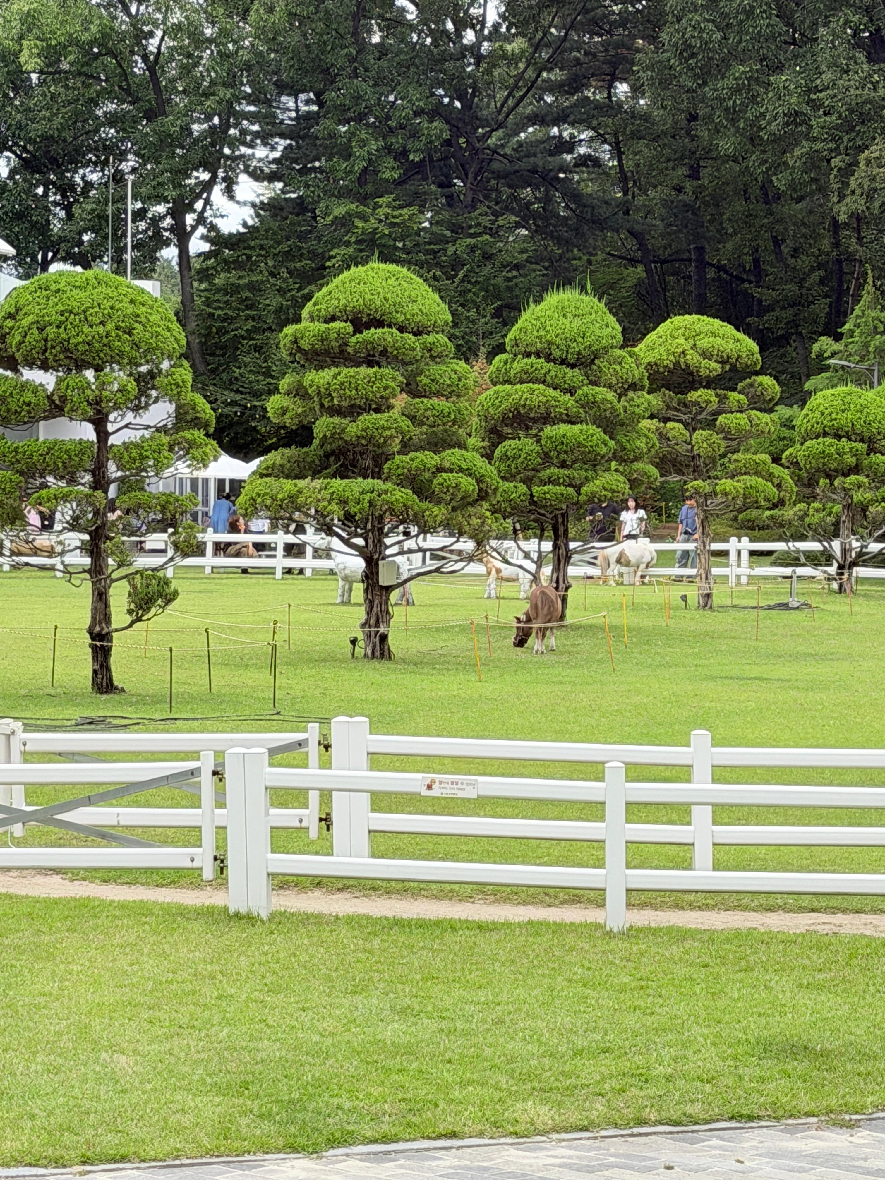 의정부 파크프리베 초입 부분 사진 2
