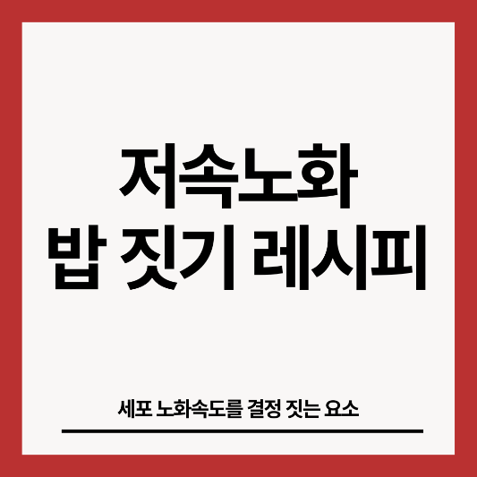 저속노화-밥짓기-레시피-썸네일