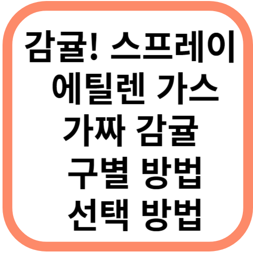 스프레이로 둔갑된 감귤, 어떻게 구별할까? 신선하고 맛있는 감귤 선택하는 방법!