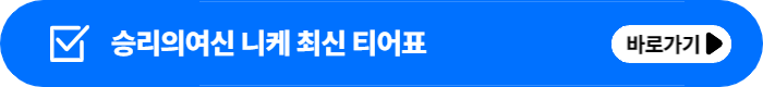 승리의여신니케티어표