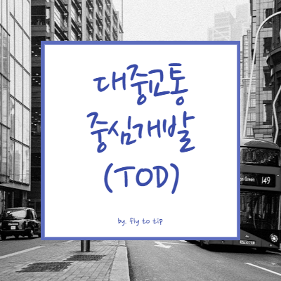 대중교통중심개발(TOD)