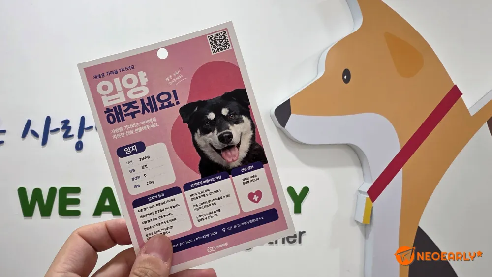 검은 털에 담긴 밝은 에너지, 반려마루 여주에서 사랑스러운 반려견을 입양하세요. ⓒ 김정균