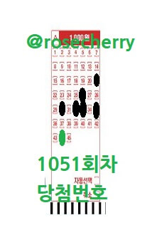 1051회차-로또당첨번호-로또용지-숫자패턴-확인하기