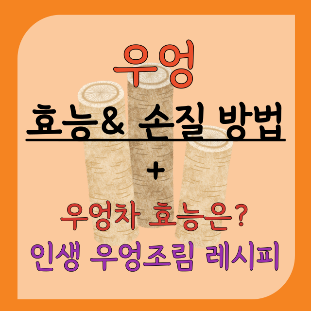 우엉-효능-손질법-맛있는-우엉조림-만드는-법