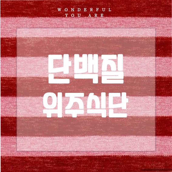 단백질 위주 식단의 모든 것과 부작용 완결판