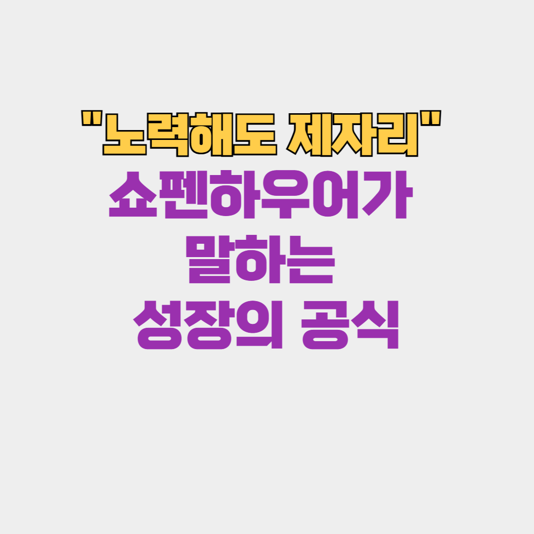 왜 당신의 노력은 즉각 보상받지 못하는가: 쇼펜하우어의 통찰