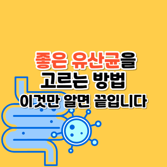 좋은 유산균을 고르는 방법, 이것만 알면 끝입니다