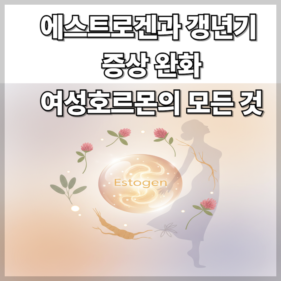 에스트로겐과 -갱년기 -증상 -완화 -여성호르몬의- 모든- 것