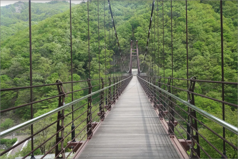 금산 자연휴양림