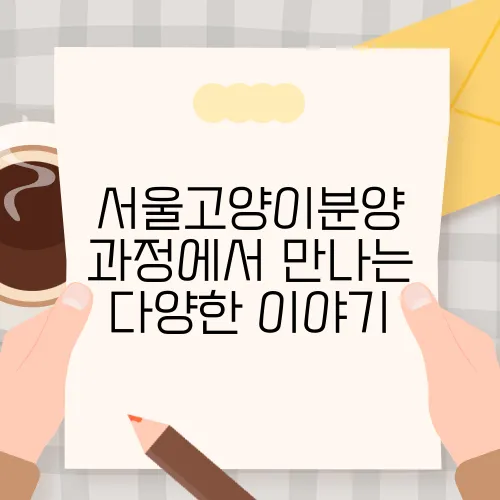 서울고양이분양 과정에서 만나는 다양한 이야기