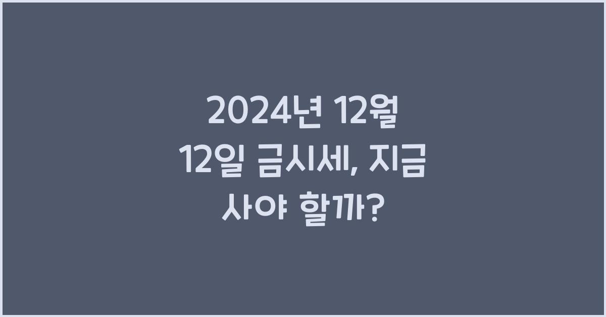 2024년 12월 12일 금시세