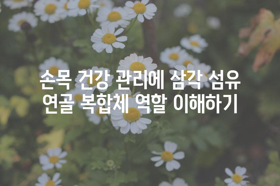 손목 건강 관리에 삼각 섬유 연골 복합체 역할 이해하기
