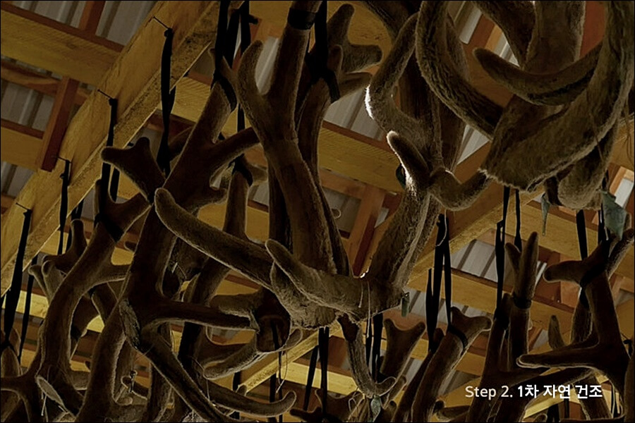 구전녹용 효능 가격 정보 (임영웅 건강식품)