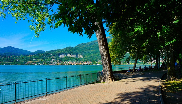 2025년 부산 강서구 부동산의 시세, 개발, 투자 관련 사진