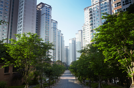 아파트