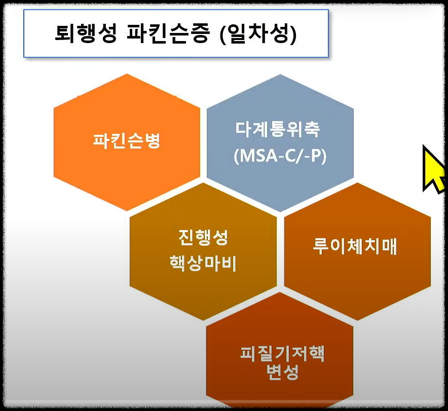 파킨슨 플러스와 다계통위축(MSA-C/-P)의 특징