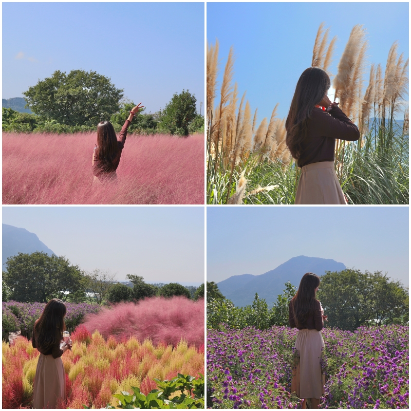 마노르블랑 가을 앞마당 모습