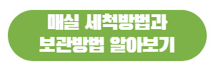매실
