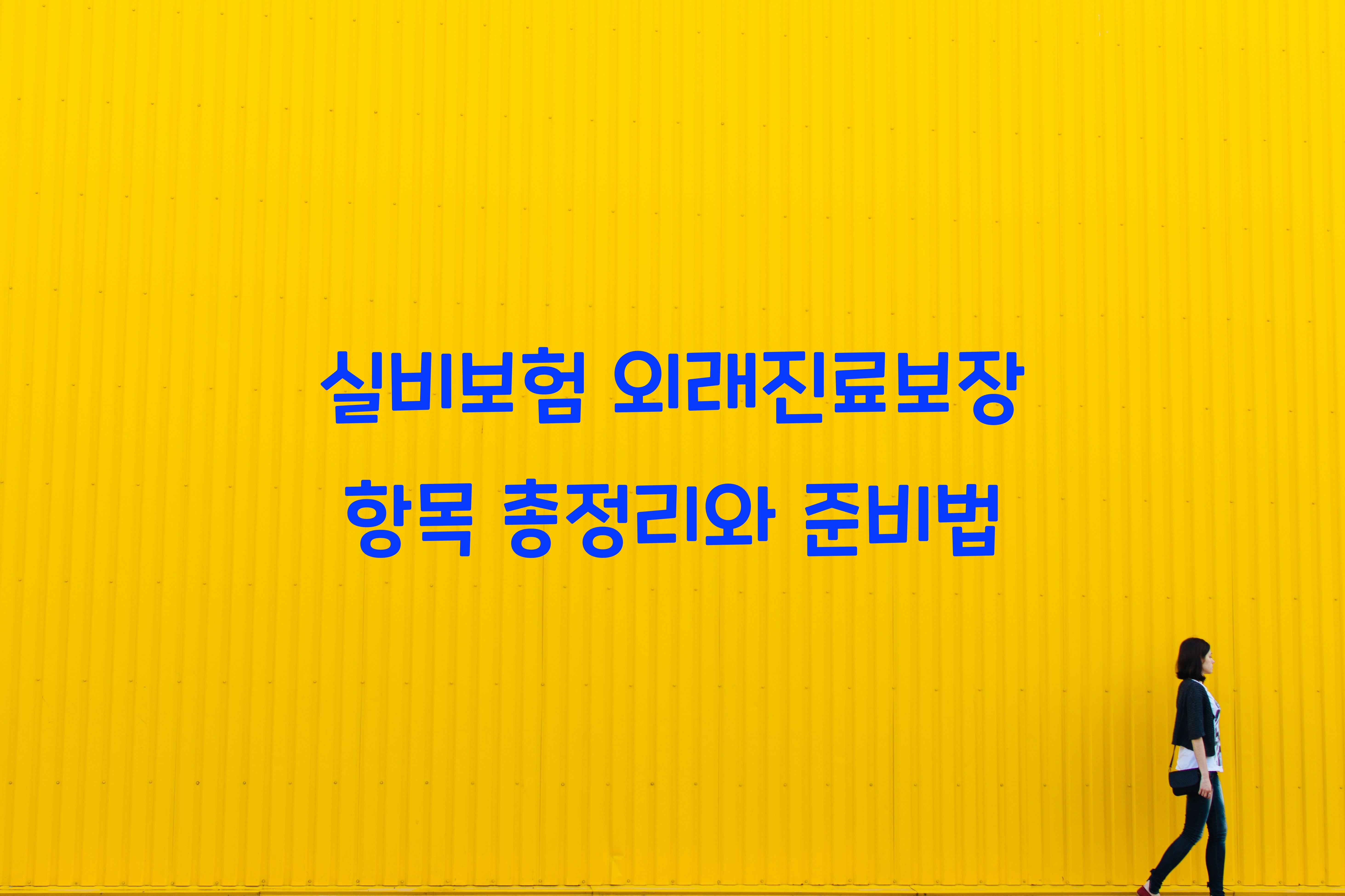 실비보험 외래진료보장 항목