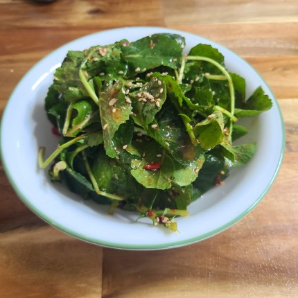 겨울초-겉절이-만드는법