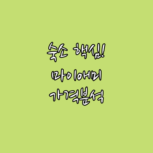 마이애미 사우스 비치 숙소 결정 링컨..