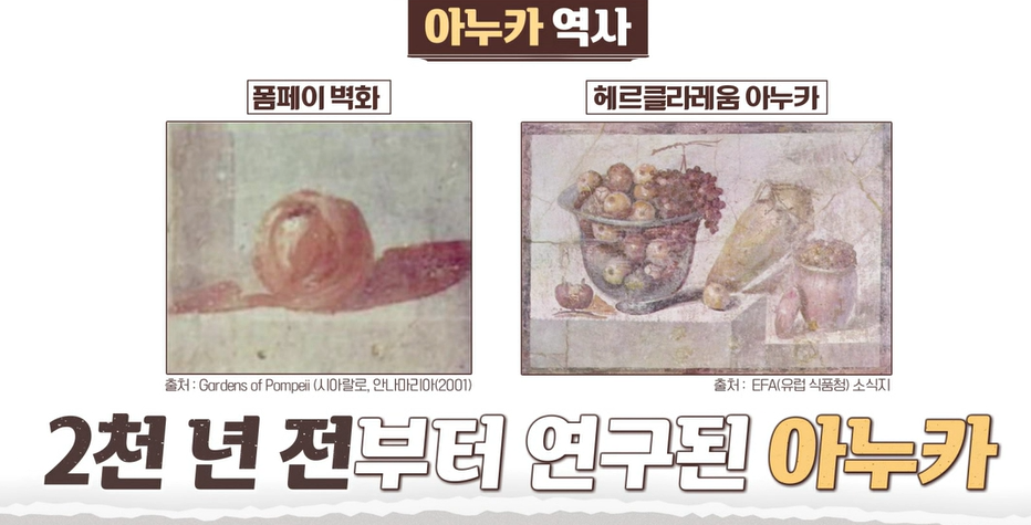 아누카사과 분말