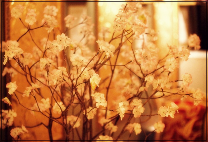 레몬바디케어 입구의 꽃 장식