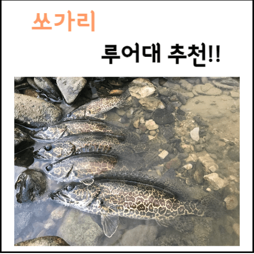 쏘가리 루어대 추천