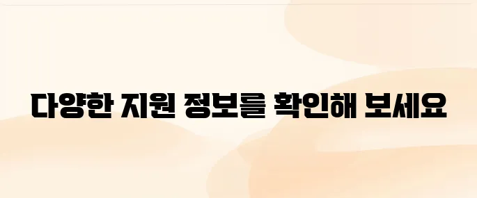 보조금24 홈페이지 (https://www.gov.kr)