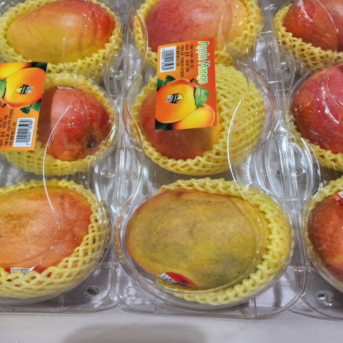 코스트코할인정보