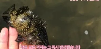 생미끼낚시 팁 감성돔 갯지렁이 미끼 꿰는 법과 입질 파악_24