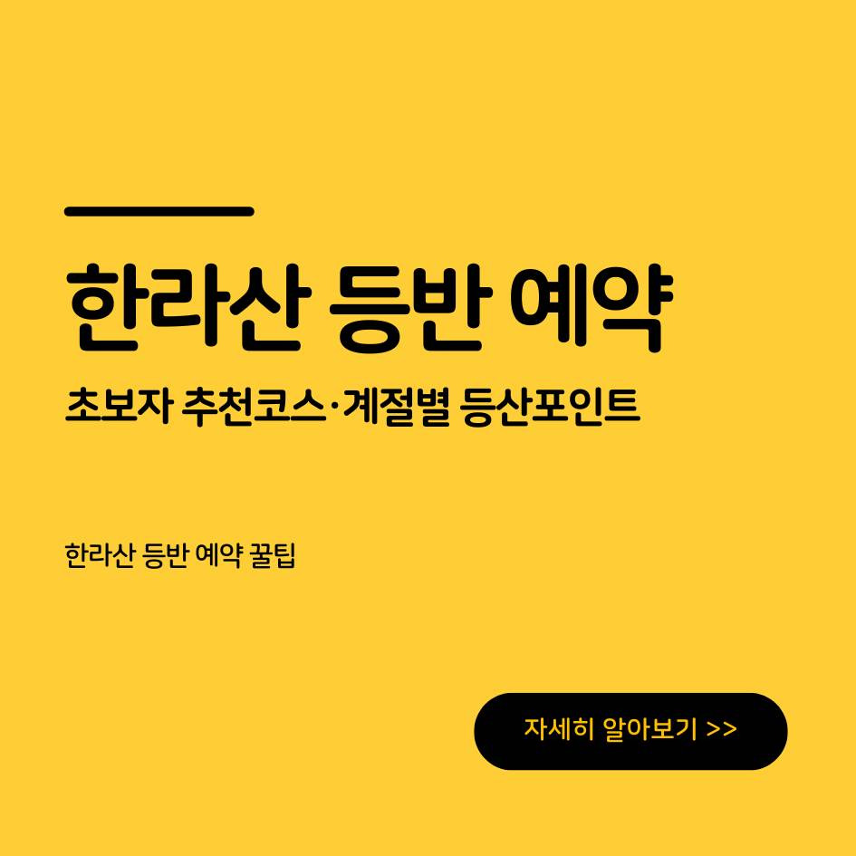 한라산 초보자 등산 코스와 예약 꿀팁, 계절별 추천 탐방 포인트
