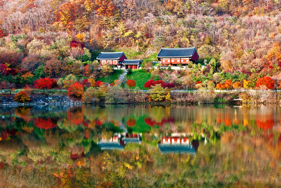 2024 가을 단풍 명소 7곳 소개