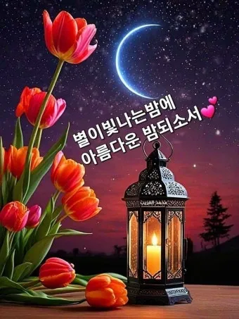밤 인사 이미지 20개 따뜻한 말 한마디 전하세요 정리_14