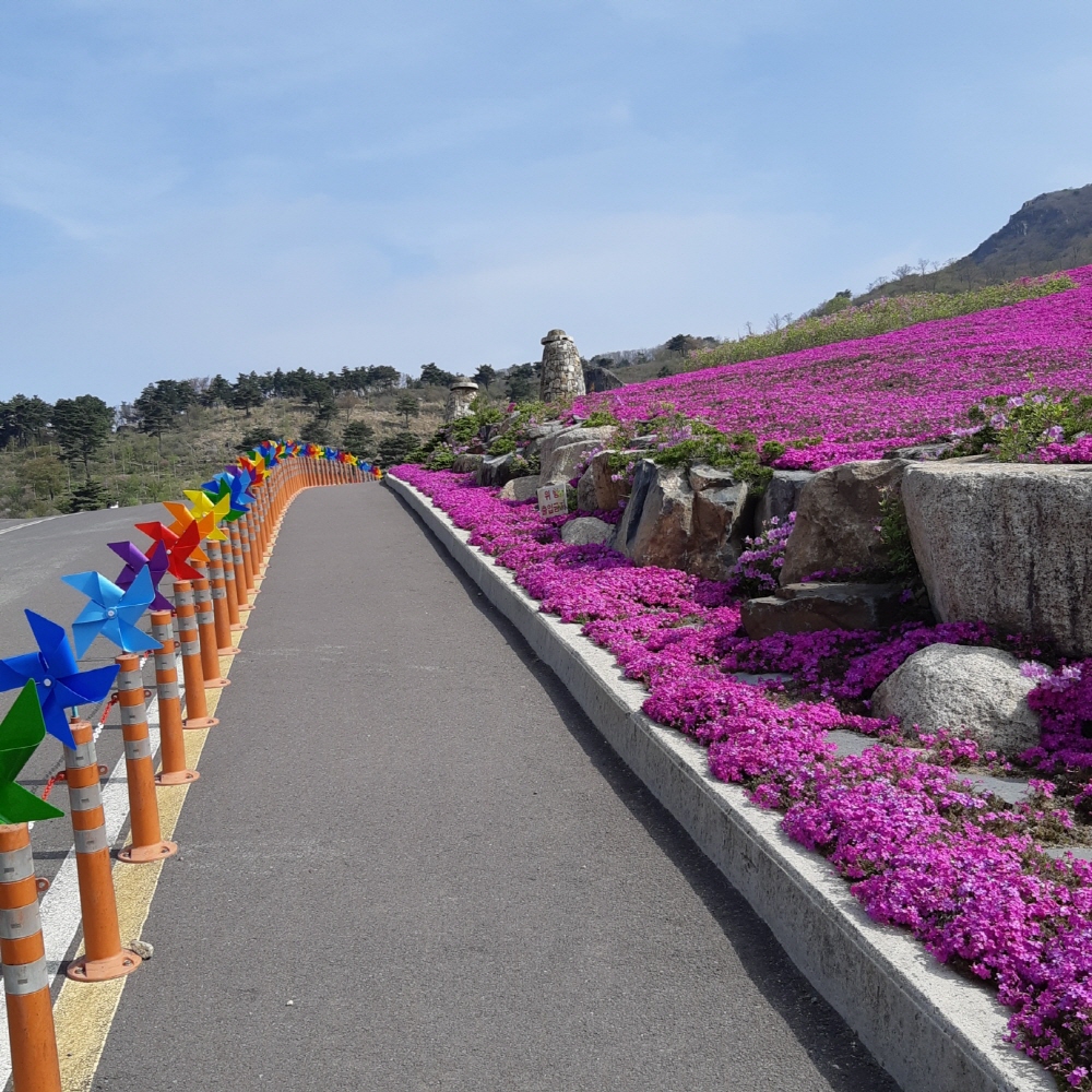 황매산-철쭉제-장소