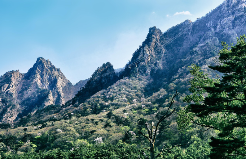 설악산 케이블카 권금성