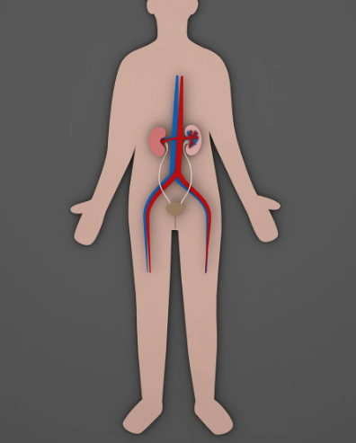 소변에서 냄새가 나는 이유