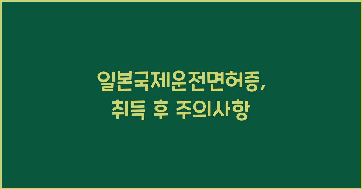 일본국제운전면허증