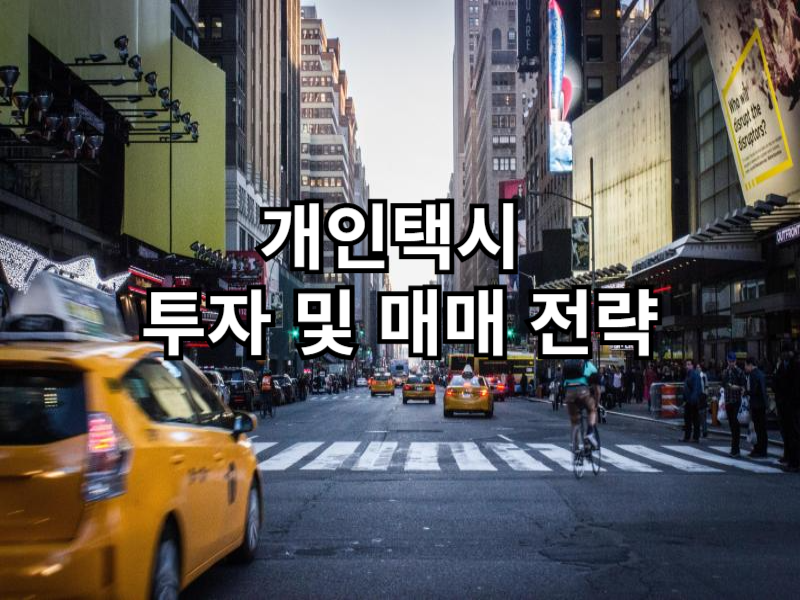 개인택시 투자 및 매매 전략