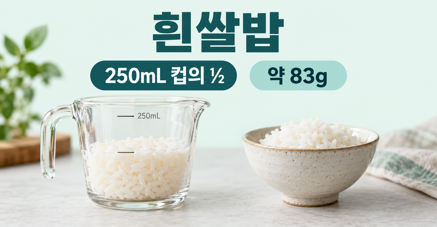 흰쌀밥 실사 분량 비교. 250mL 컵의 ½와 약 83g. 원문 125mL=83g. 250mL 계량컵의 절반. 국내 단립종·진밥은 수분량과 밀도가 달라질 수 있음.