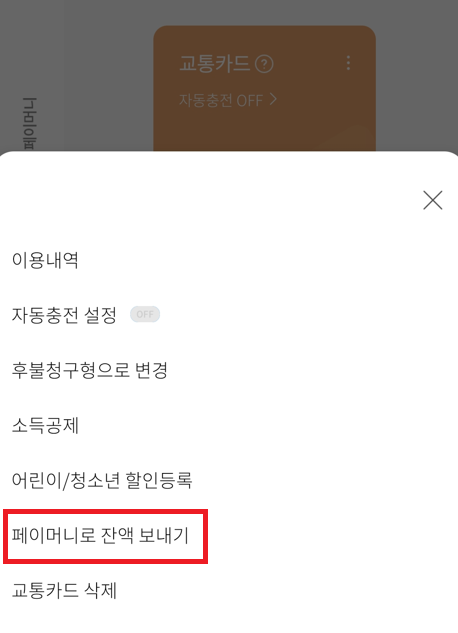 페이머니로 잔액 보내기