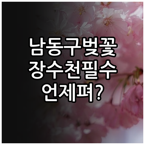 2026년 남동구 벚꽃 절정 시기 및..