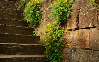 계단오르기 운동효과 정리 7