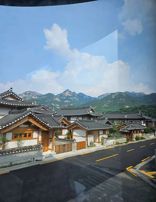 1인1잔