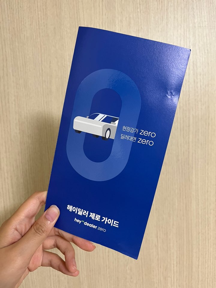 헤이딜러 후기