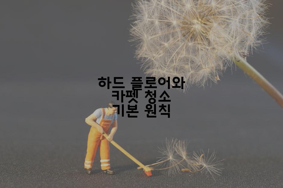 하드 플로어와 카펫 청소 기본 원칙