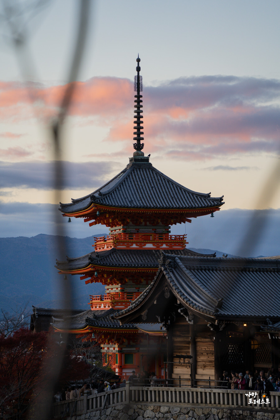 교토 기요미즈데라 청수사 단풍