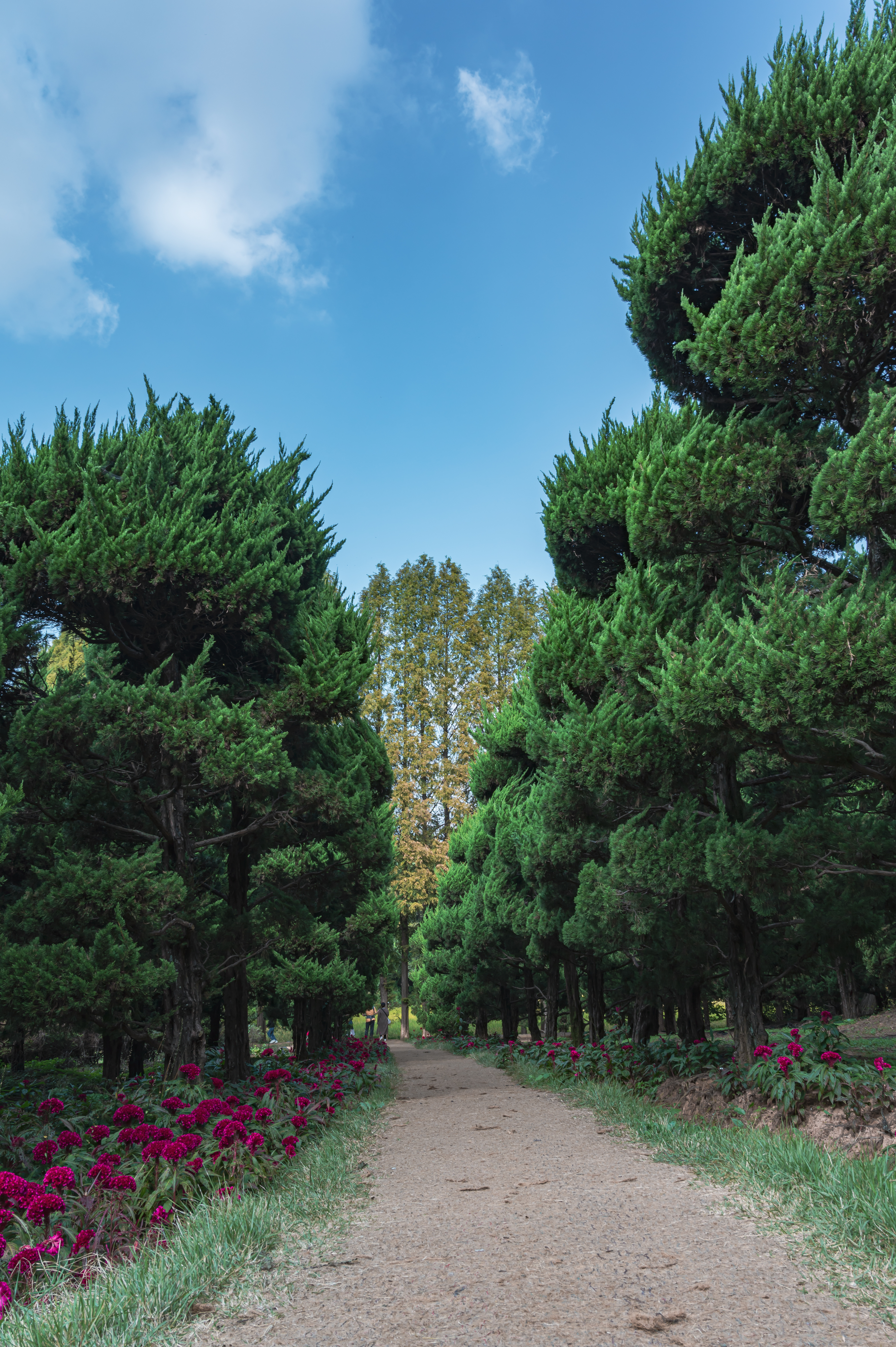 ์๊ฐํ ์ ์