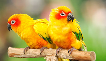 2025 울산대공원 장미축제